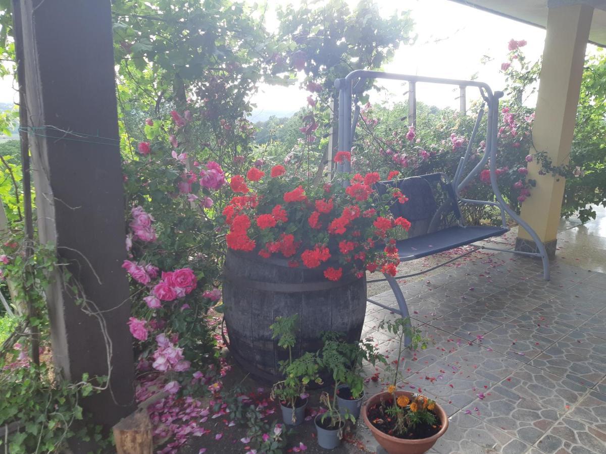 Вілла House Of The Red Poppy Mirkovec Екстер'єр фото
