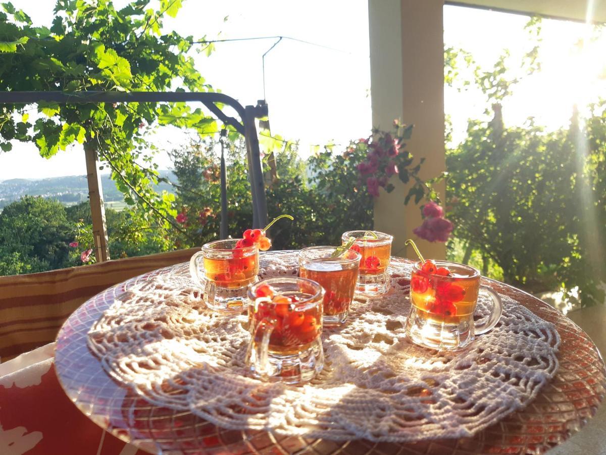Вілла House Of The Red Poppy Mirkovec Екстер'єр фото