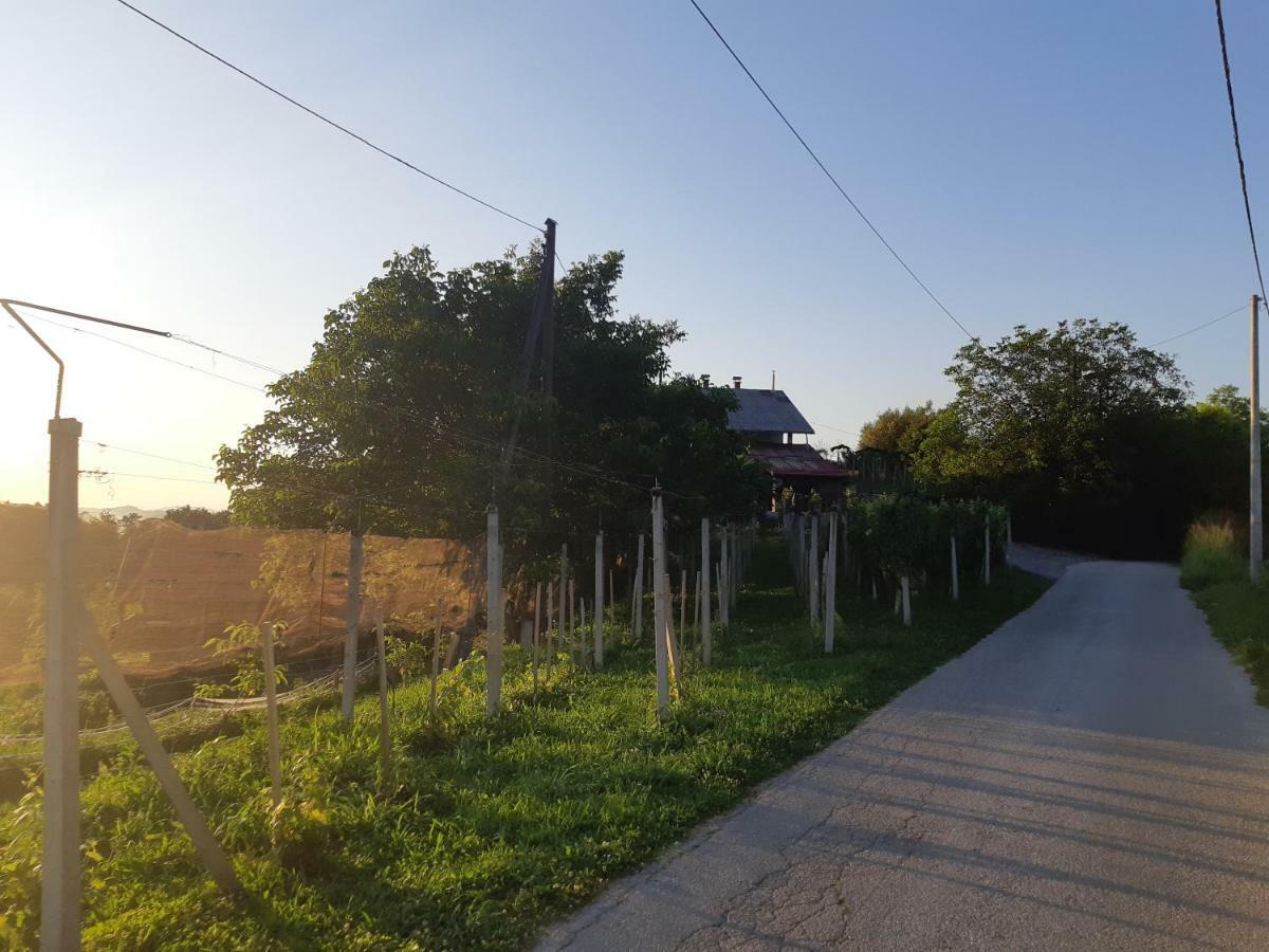 Вілла House Of The Red Poppy Mirkovec Екстер'єр фото