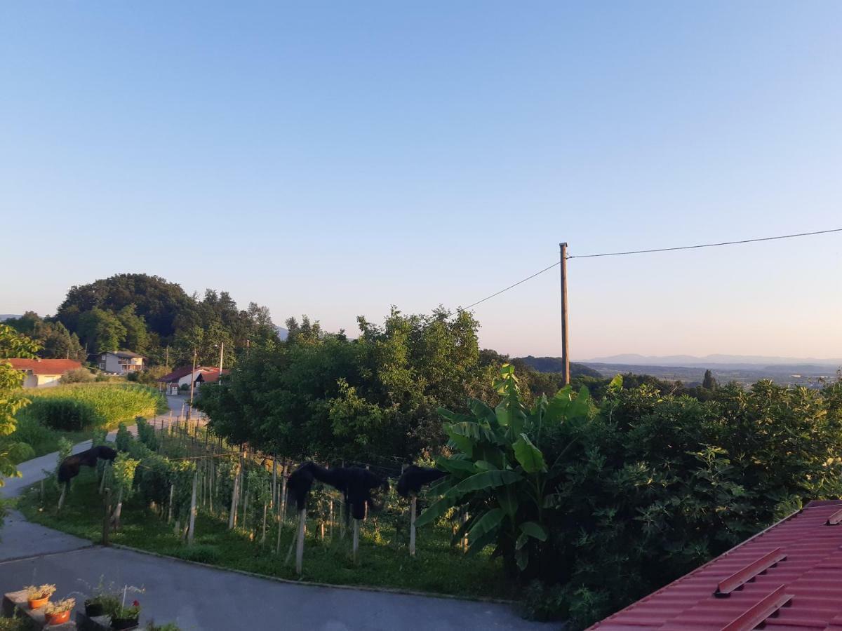 Вілла House Of The Red Poppy Mirkovec Екстер'єр фото